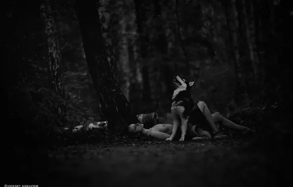 Forest, chest, girl, sexy, the darkness, wolf, little red riding hood, b/W