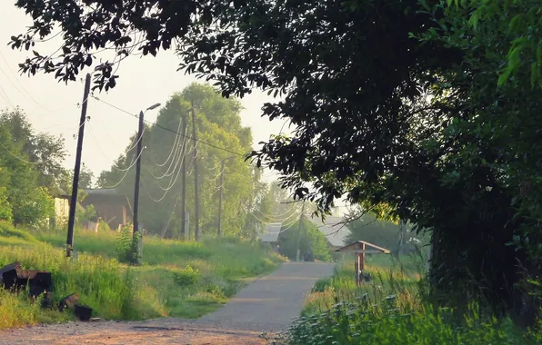 Trees, branches, wire, village, village, well, the village. road