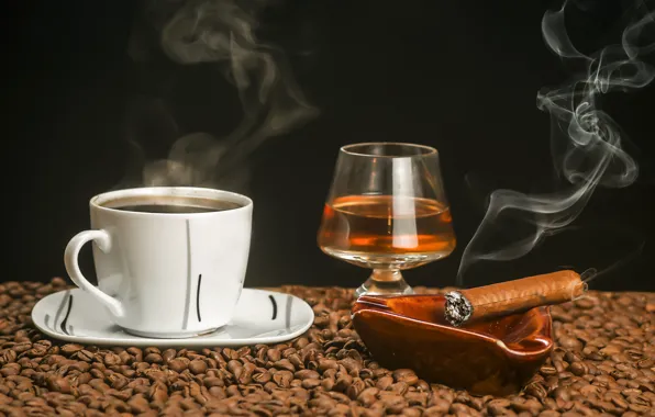 Coffee, Cup, cigar, cognac, grain
