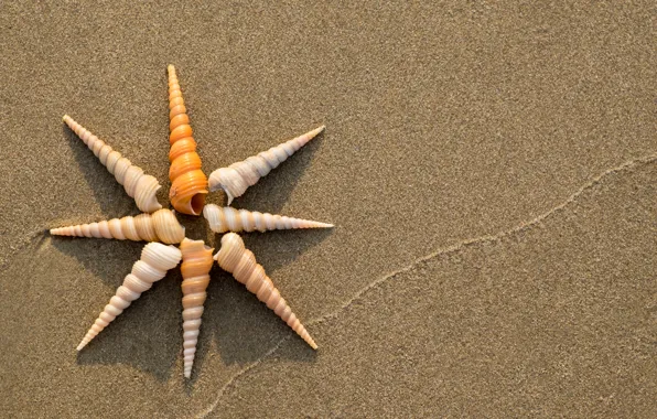 Sand, beach, summer, shell, summer, beach, sand, seashells