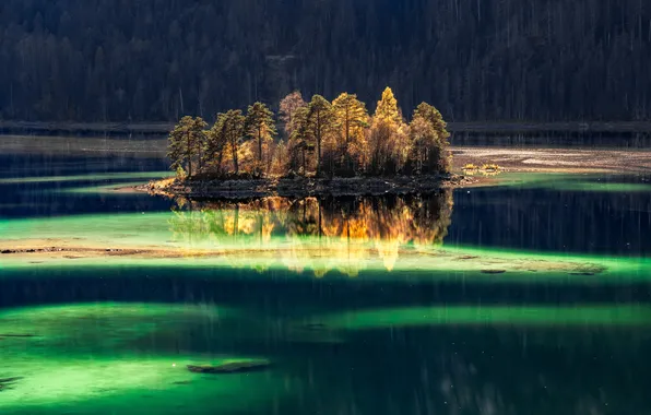 Picture autumn, light, nature