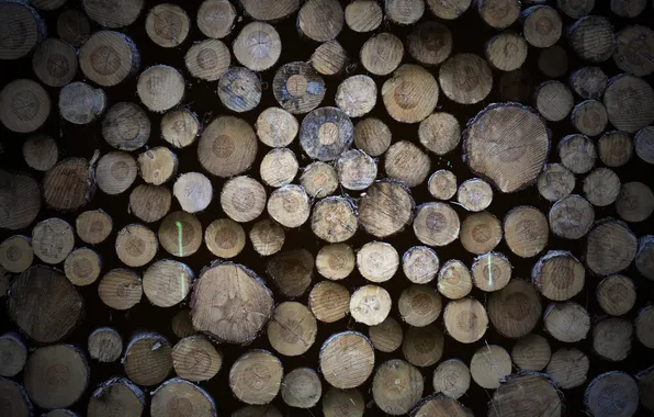 Trees, background, logs