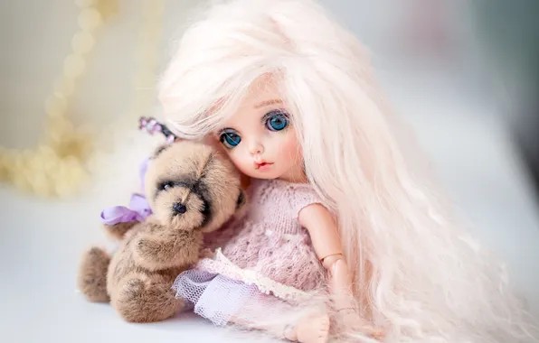 Picture hair, toys, doll, bear