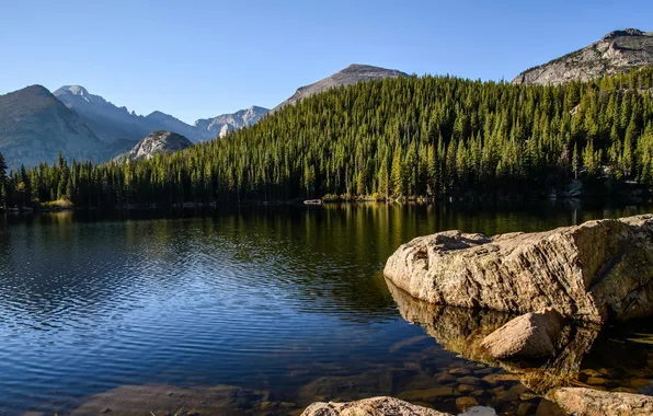 Picture forest, trees, mountains, lake, stones, USA, Rocky Mountain National Park, Bear Lake