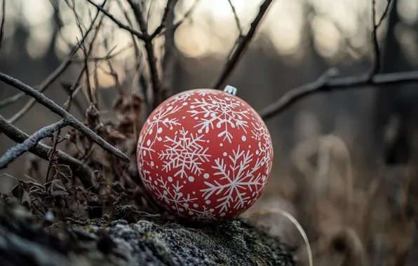Snowflakes, branches, red, nature, stones, pattern, toy, ball