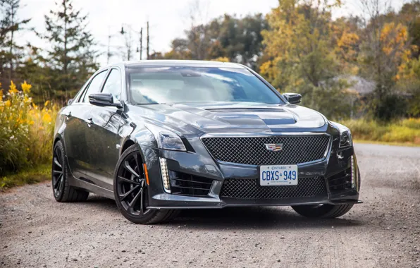 Road, car, machine, forest, Cadillac, black, sedan, black