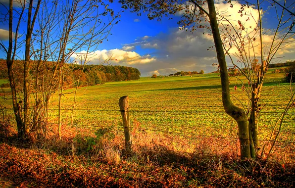 Field, autumn, the sky, clouds, trees