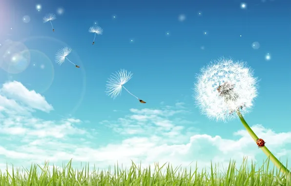 Greens, the sky, dandelion