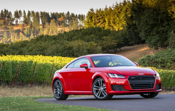 Audi, Audi, Coupe, quattro, TFSI, US-spec, 2015