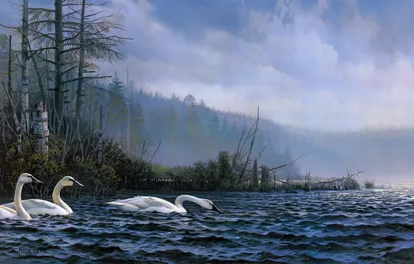 Picture forest, birds, nature, fog, lake, morning, painting, swans
