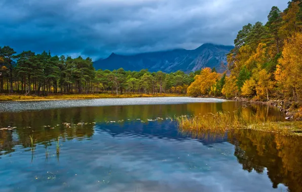 Autumn, forest, landscape, lake, Scotland, England, loch Clair
