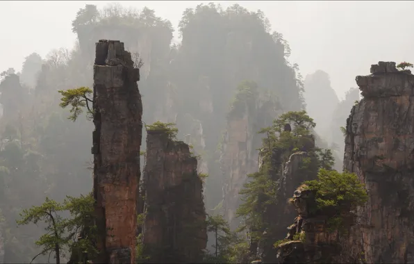 China, nature, beauty, wallpapers 1920 x 1080