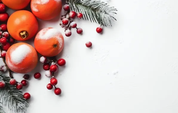 Winter, snow, branches, berries, fruit, Christmas, white background, New year