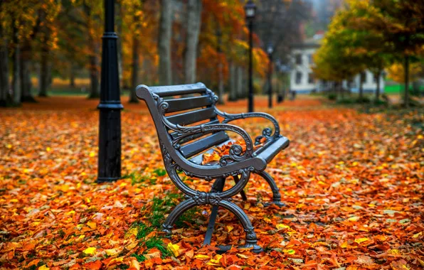 Picture autumn, Park, foliage, bench