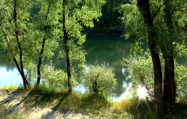 Forest, the sun, rays, landscape, river, background, forest, river