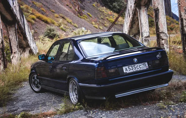 Grass, mountains, bridge, nature, lights, BMW, track, BMW