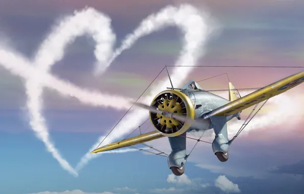 Picture Heart, love, the plane, Valentine's day, plane, simulator, MMO, Mac OS