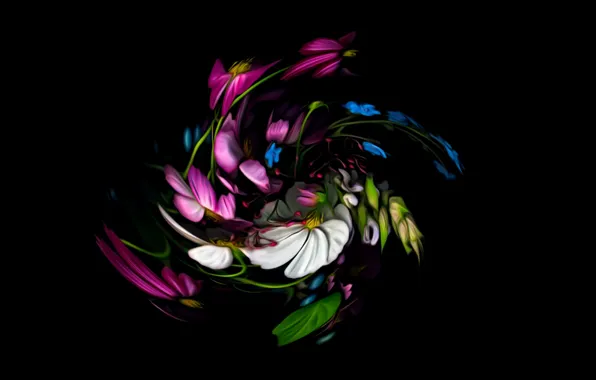 Picture abstraction, fantasy, black background, picture, floral spiral