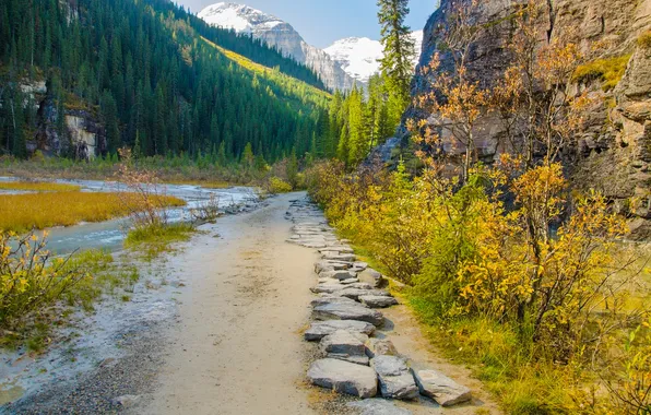 The sky, trees, mountains, river, stream, stones, path