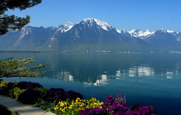 The sky, water, flowers, mountains, lake, reflection, Switzerland, Geneva