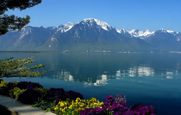 Picture the sky, water, flowers, mountains, lake, reflection, Switzerland, Geneva