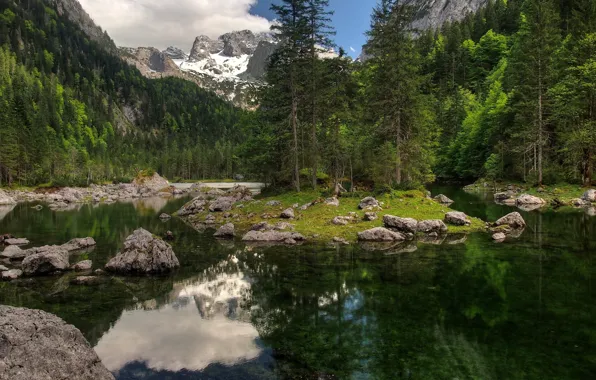 Picture forest, the sky, clouds, snow, trees, mountains, nature, lake