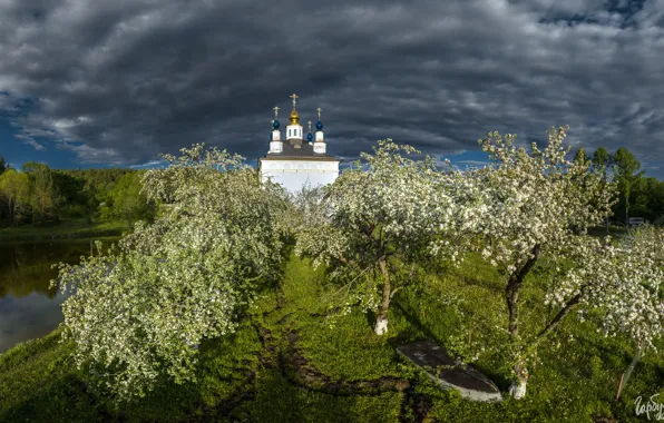 Picture water, clouds, landscape, nature, spring, garden, temple, flowering