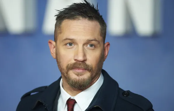 Picture look, pose, beard, actor, photoshoot, writer, Tom Hardy, Tom Hardy