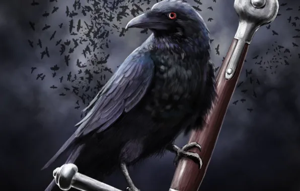 Picture clouds, sword, art, Raven, arm, crow