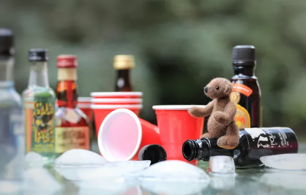 Childhood, table, background, toy, ice, small, bear, bear