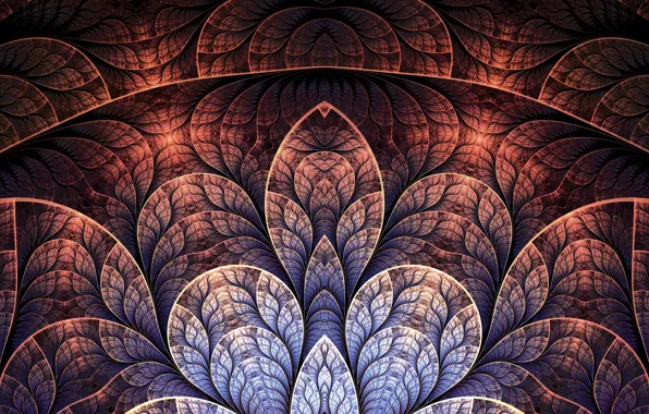 Line, patterns, petals, art, fractal