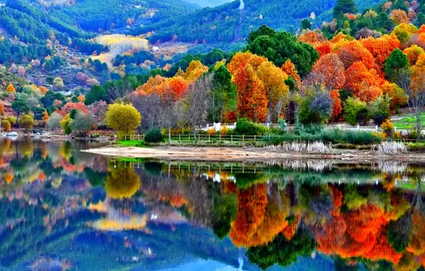 Picture autumn, trees, mountains, lake, slope