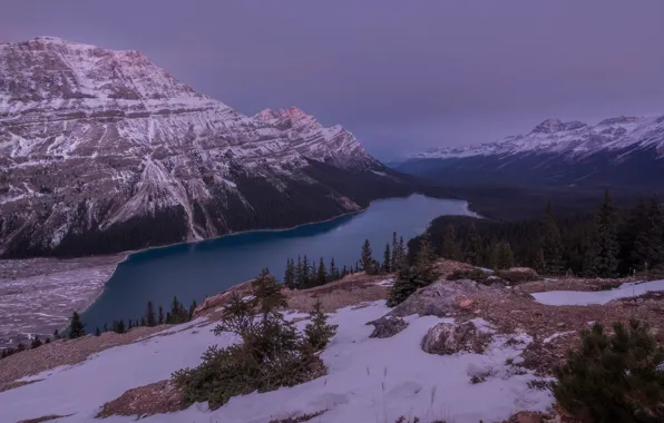 Winter, forest, snow, mountains, lake, Canada