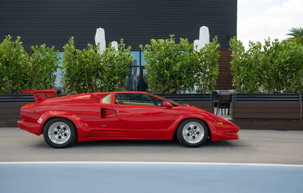 Red, Lamborghini, Lambo, Countach, Lamborghini Countach 25th Anniversary