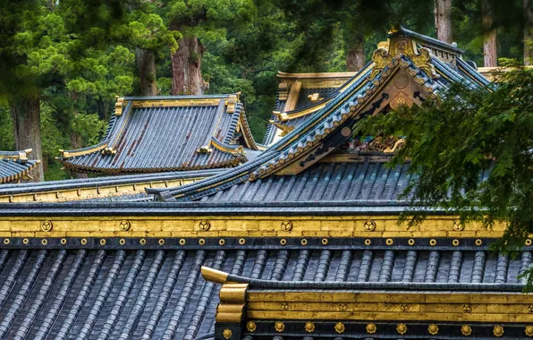 Picture Japan, Roof, architecture, Honshu, Nikko city, Tochigi Prefecture, Nikko Toshogu Shrine, Nikko Tosogu Temple
