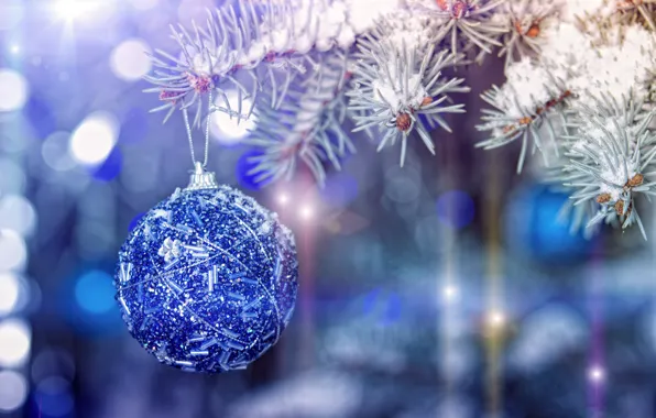 Toy, new year, ball, spruce