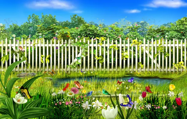 Grass, water, butterfly, flowers, the fence
