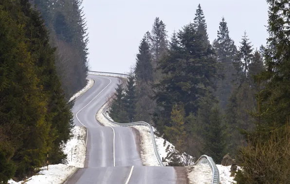 Road, Road, Ukraine, Carpathians