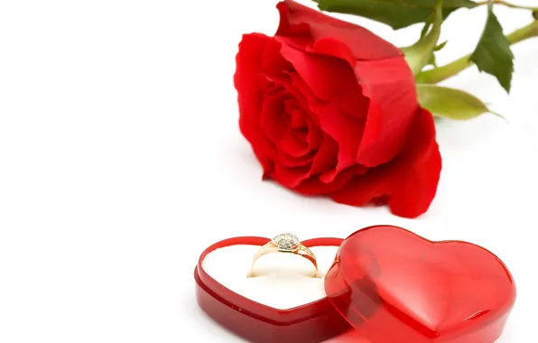 Red, heart, Rose, ring
