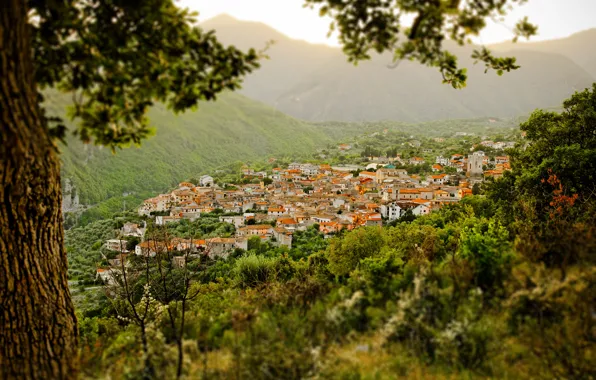 Picture Nature, Home, The city, Panorama, Roof, Nature, Blur, Panorama