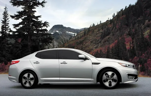 White, nature, KIA Cadenza