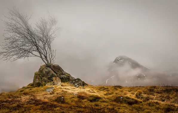 Picture clouds, trees, stones, Scotland