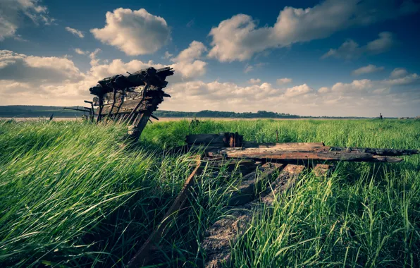 The sky, grass, clouds, river, blue, thickets, shore, boat