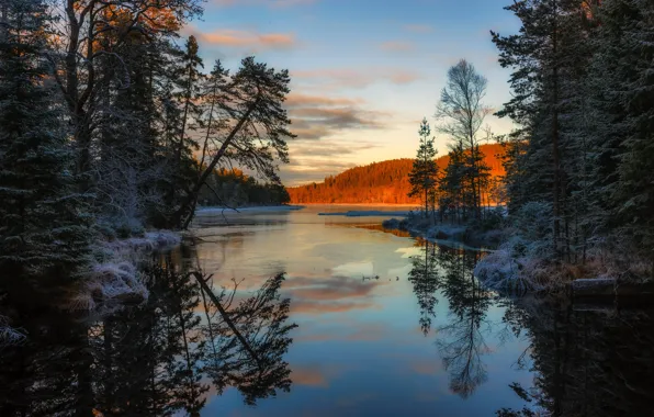 Forest, water, snow, trees, sunset, reflection, river, the evening