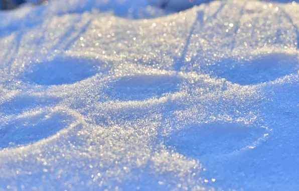 Light, snow, traces, nature, glare, lights, the snow, shadows