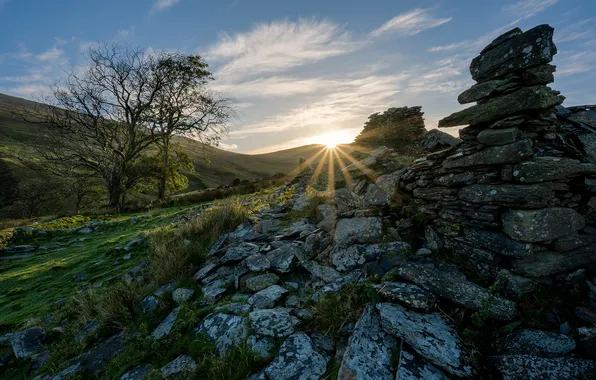 The sky, the sun, clouds, rays, trees, stones, hills