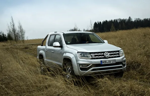 Picture field, grass, Volkswagen, pickup, Amarok, Highline, Double Cab, 2016