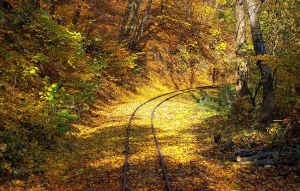 ROAD, YELLOW, LEAVES, BRANCHES, RAILS, SLEEPERS, AUTUMN, FOLIAGE