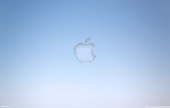 Grey, background, blue, apple, Apple, minimalism, computers