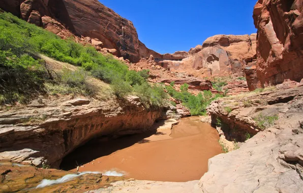 The sky, water, trees, lake, rocks, canyon, gorge